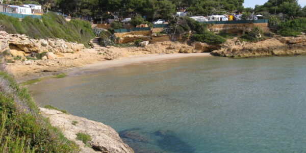 Tour en jet ski à travers Cala Mora