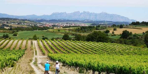 Tour à vélo à travers les vignobles du Penedés