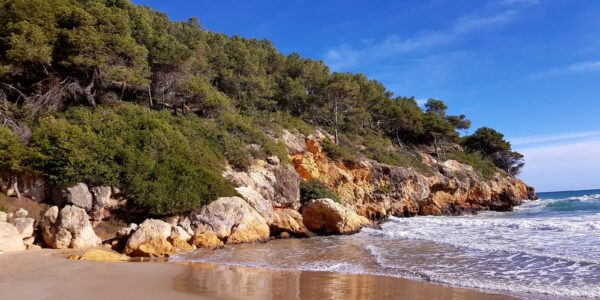 Jetski-Tour durch Cala Mora