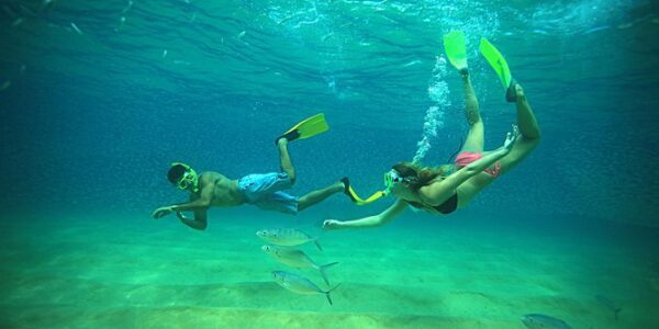 Snorkeling in the Sea Lion Cave