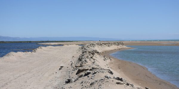 4x4 and kayak tour through the Ebro Delta