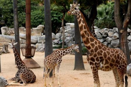 Entrance to Barcelona Zoo