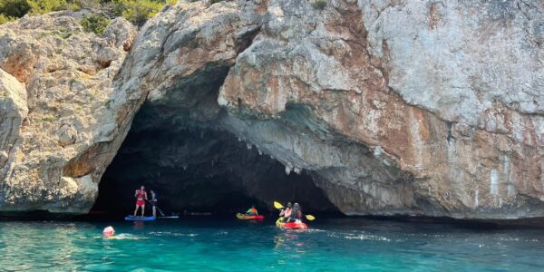 Snorkeling nella grotta dei leoni marini