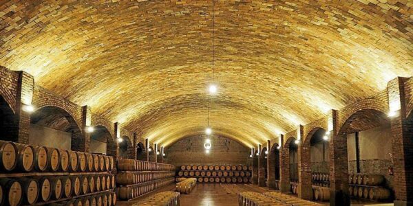 Visita al celler Castell del Remei