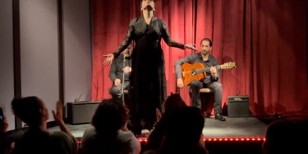 Flamenco-Show im Casa Sors + Besuch des Gitarrenmuseums