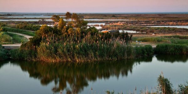 Tour in 4x4 e kayak attraverso il Delta dell'Ebro