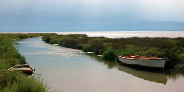 Paddle surf through the mussel beds of San Carlos de la Rápita