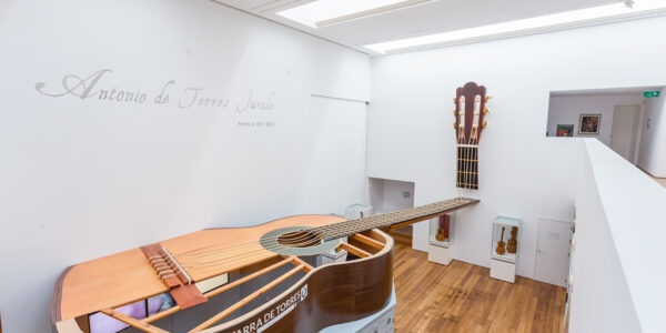 Spettacolo di flamenco a Casa Sors + Visita al Museo della Chitarra