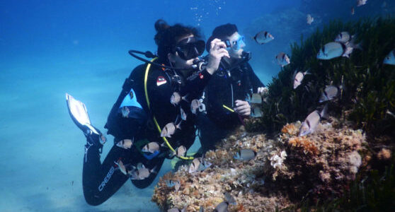 Diving baptism in Tarragona