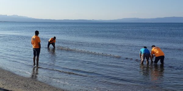 Taller de pesca de marisc al Delta de l'Ebre + Degustació de musclos