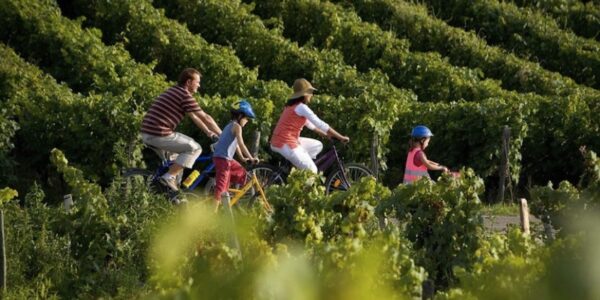 E-Bike-Tour durch die Weinberge von Alella + Segelbootfahrt