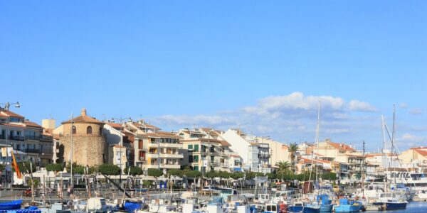 Full-day catamaran ride