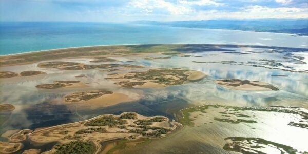 4x4 and kayak tour through the Ebro Delta