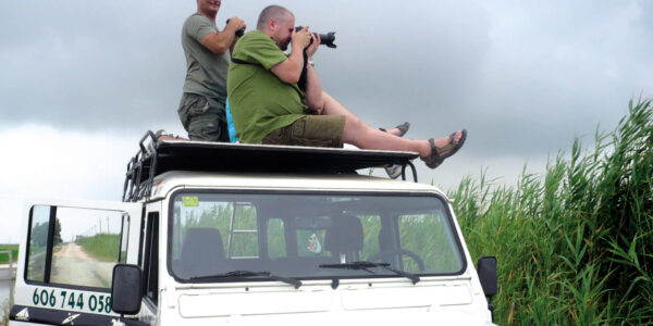 4x4 and kayak tour through the Ebro Delta