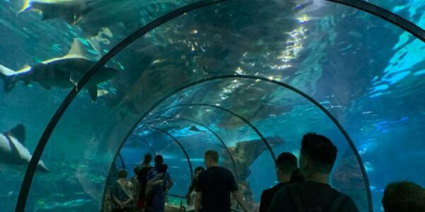 Entrada a L’Aquàrium de Barcelona