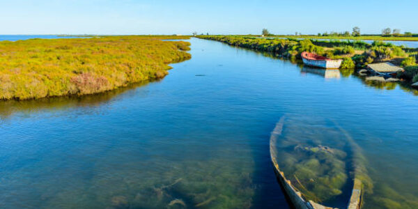 Taller de pesca de marisc al Delta de l'Ebre + Degustació de musclos