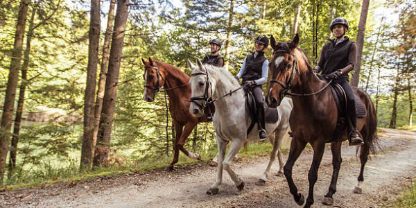 Passeggiate a cavallo nei dintorni di Llavorsí