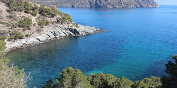 Promenade en bateau autour du Cap Norfeu et de Cala Jóncols