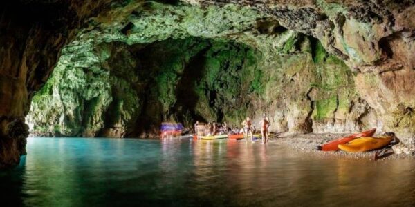 Snorkeling nella grotta dei leoni marini