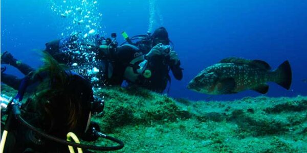 Bautismo de buceo en el Parque Natural del Montgrí