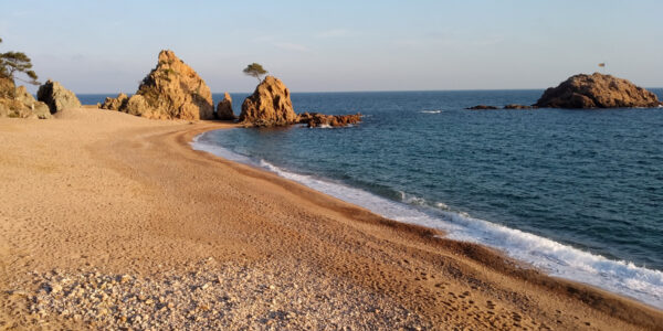 Busseig a la platja de la Mar Menuda