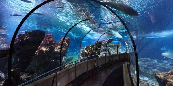 Entrance to L'Aquàrium of Barcelona