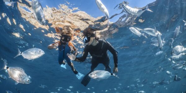 Snorkel a les illes Medes