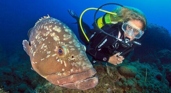 Bautismo de buceo en el Parque Natural del Montgrí