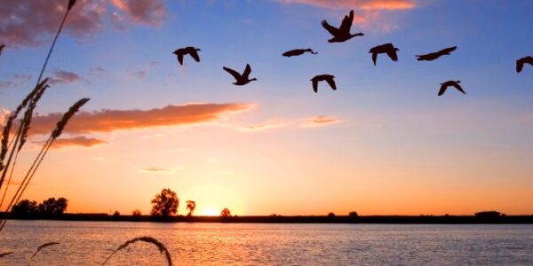 4x4 and kayak tour through the Ebro Delta