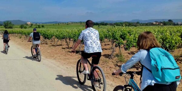 Tour à vélo à travers les vignobles du Penedés