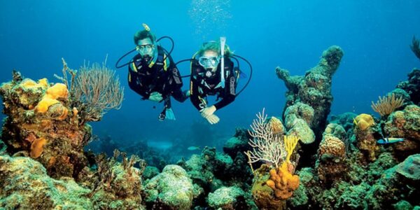 Bautismo de buceo en el Parque Natural del Montgrí