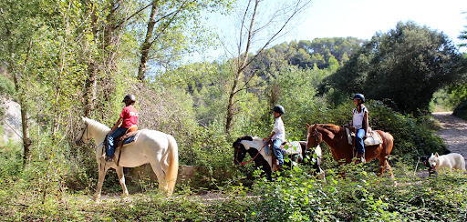 Reiten durch Montserrat