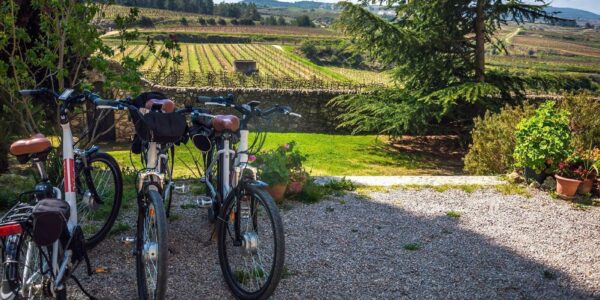 Tour amb bicicleta per les vinyes del Penedès