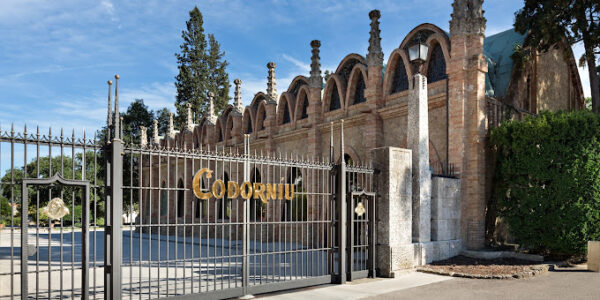 Visita al celler Codorníu