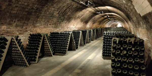 Visita a la bodega Codorníu